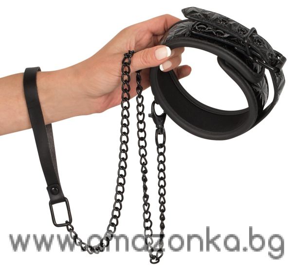 Collar with Leash