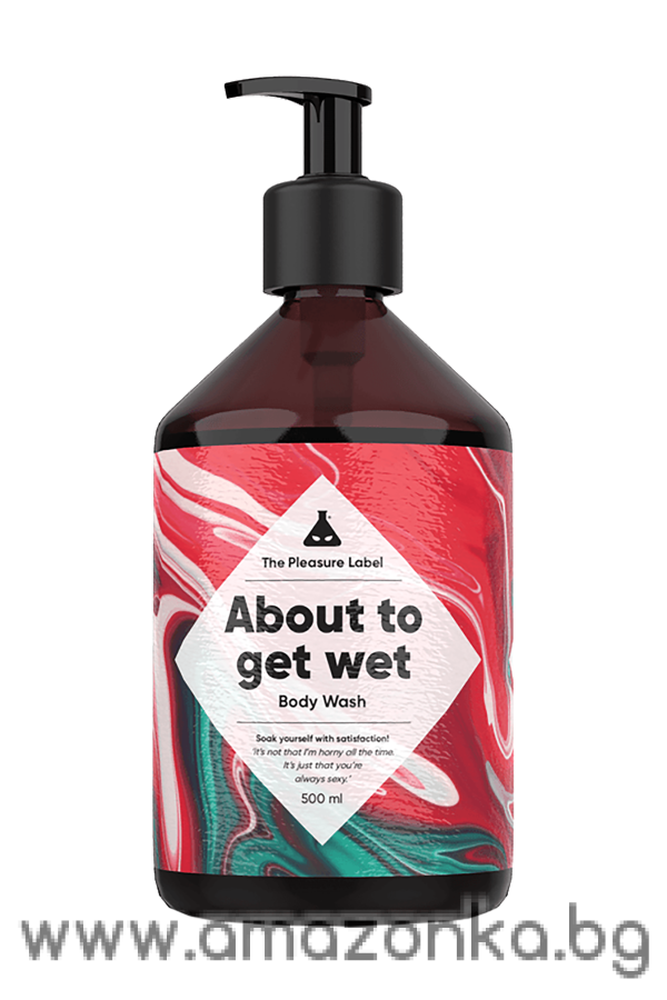 BODY WASH ABOUT TO GET WET 500ML