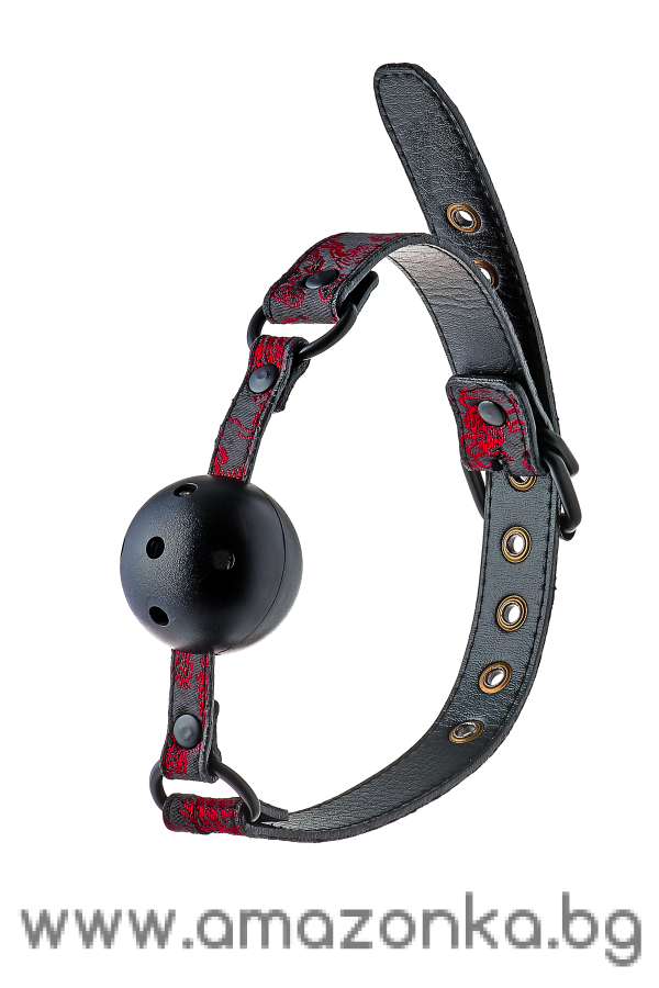 BLAZE DELUXE BREATHABLE BALL GAG