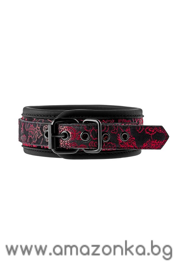 BLAZE DELUXE COLLAR & LEASH