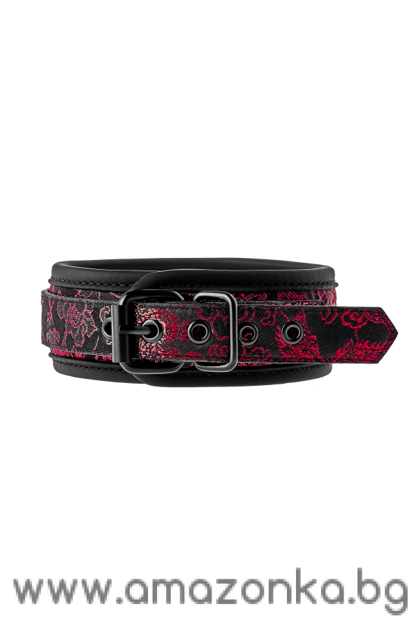 BLAZE DELUXE COLLAR & LEASH