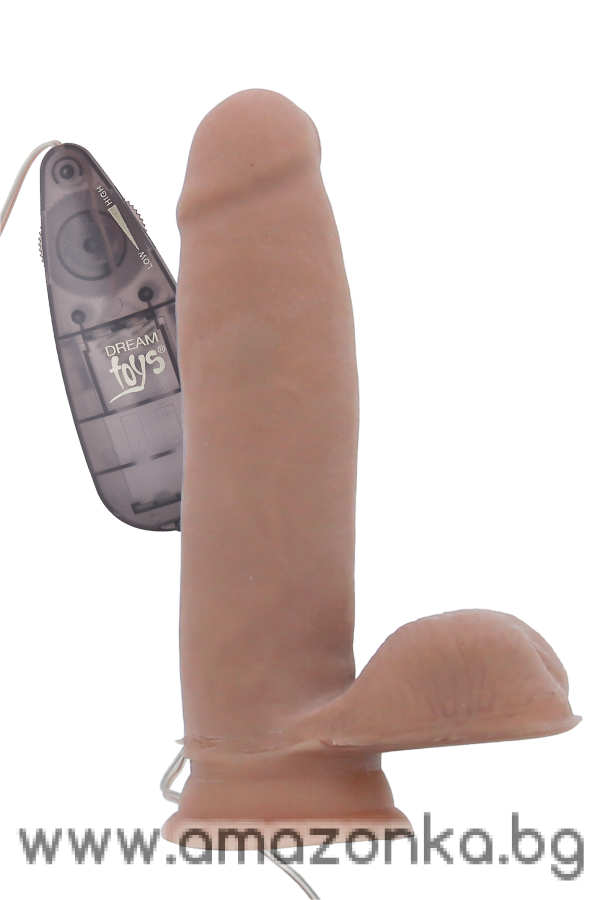 MR.DIXX BAD BOY 6,5 INCH DUAL DENSITY VIBRATING DILDO