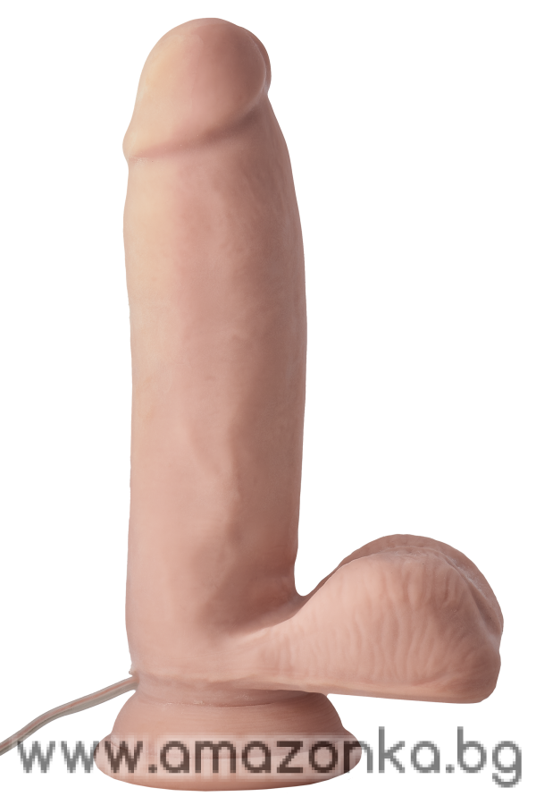 MR.DIXX BAD BOY 6,5 INCH DUAL DENSITY VIBRATING DILDO