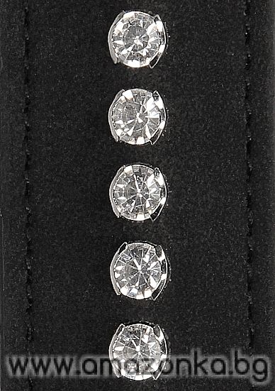 Collar with Belt and Diamonds