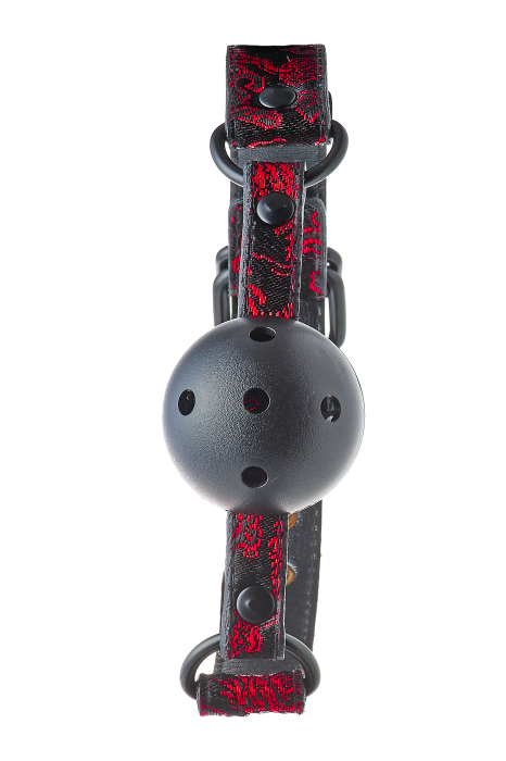 BLAZE DELUXE BREATHABLE BALL GAG