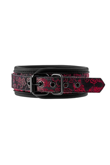 BLAZE DELUXE COLLAR & LEASH
