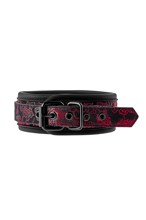 BLAZE DELUXE COLLAR & LEASH