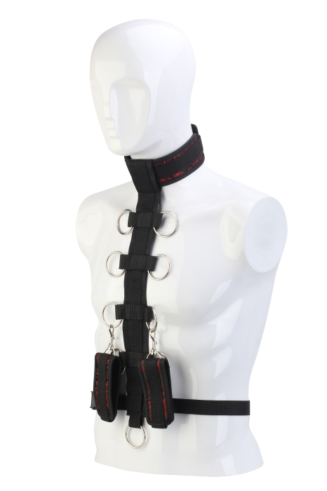 BLAZE DELUXE COLLAR BODY RESTRAINT