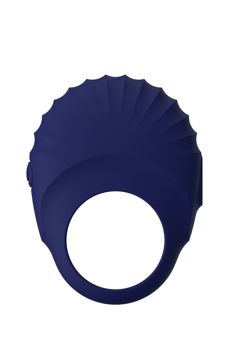 BLUE EVOLUTION PALLAS