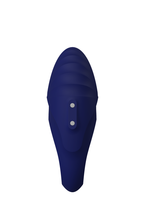 BLUE EVOLUTION PALLAS