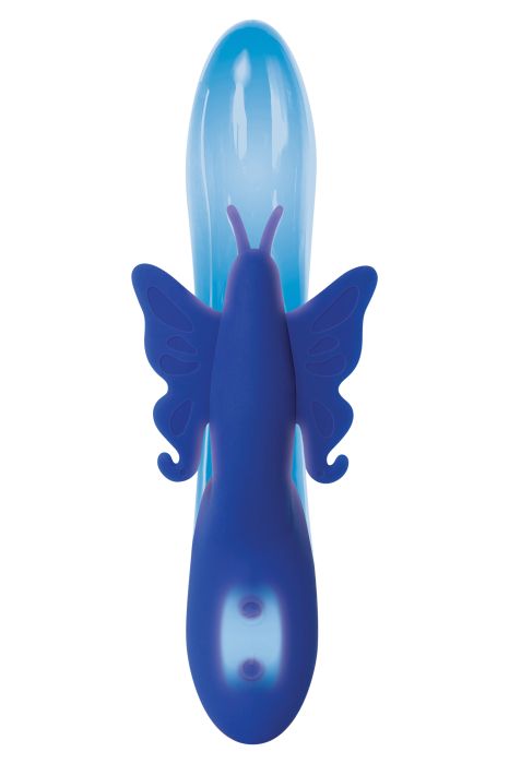 EVOLVED FIREFLY